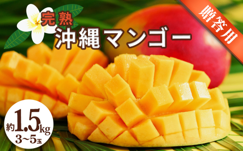 沖縄県産 贈答用マンゴー 1.5kg【 先行予約 2026年発送 】 2347368 - 沖縄県うるま市