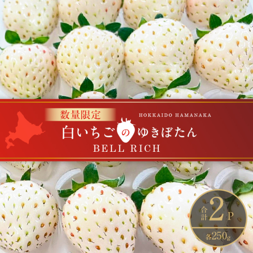 《数量限定》白いちご”ゆきぼたん”(計2パック) BELL RICH_H0049-101 2347537 - 北海道浜中町