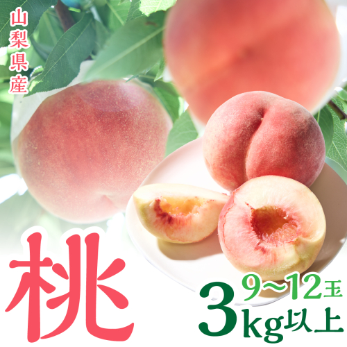 ＜2026年発送＞山梨県産　桃　（9玉～12玉）　3キロ以上　SWCN001-3kg
 2347611 - 山梨県昭和町