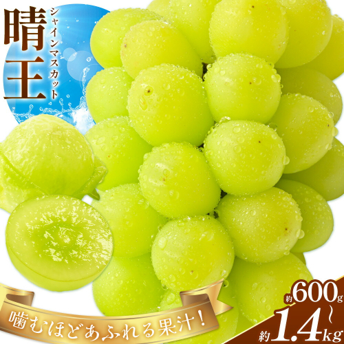 【2026年先行予約】ぶどう シャインマスカット 晴王 選べる 約600g 約700g 約1.2kg 約1.4kg 満天フルーツ《2026年9月上旬-10月末頃出荷》岡山県 浅口市 送料無料 マスカット フルーツ 果物 お取り寄せフルーツ 贈り物 ギフト 国産 岡山県産【配送不可地域あり】 2347613 - 岡山県浅口市