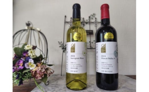 日本ワインコンクール金賞 井筒マスカットベリーＡ&金賞ソービニヨンブラン720ml×各1本  | ワイン わいん 白 赤 井筒ワイン お酒 マスカットベリーA ソービニヨンブラン 日本ワインコンクール 金賞 ギフト 塩尻市 長野県 2347618 - 長野県塩尻市