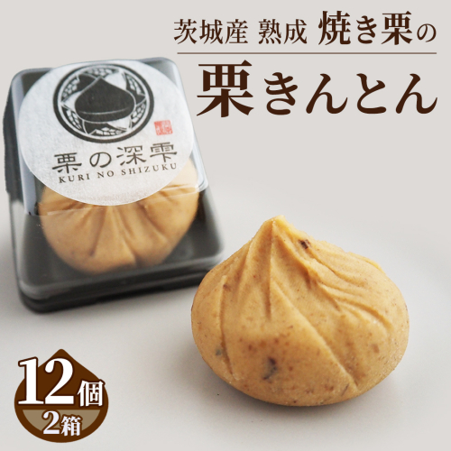 栗の深雫 (くりのしずく) 2箱 完熟 栗 くり クリ 栗きんとん 和菓子 おかし お菓子 贈り物 贈答 ギフト 秋 冬 [FC011sa] 2347697 - 茨城県桜川市