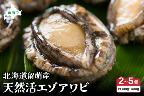 日時指定不可【産地直送　留萌産】天然活エゾアワビ 300ｇ～400ｇ（2～5個入り）R006-015 2347775 - 北海道留萌市