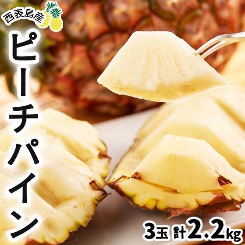2026年 先行予約 ピーチパイン 約 2.2kg (3玉) ★西表島ふる～つらんど★不動の人気No.1 甘熟 果物 フルーツ パイン 2347776 - 沖縄県竹富町