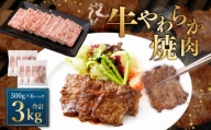 牛やわらか焼肉 500g×6パック 計3kg 焼肉 焼き肉 牛 肉牛 冷凍 熊本県 あさぎり町