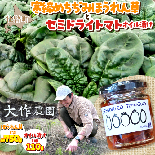 ＜2026年12月上旬頃よりお届け＞北海道壮瞥産 大作農園の「寒締めちぢみほうれん草」5袋と「セミドライトマトオイル漬け」1瓶（110g）のセット SBTR007 2347832 - 北海道壮瞥町