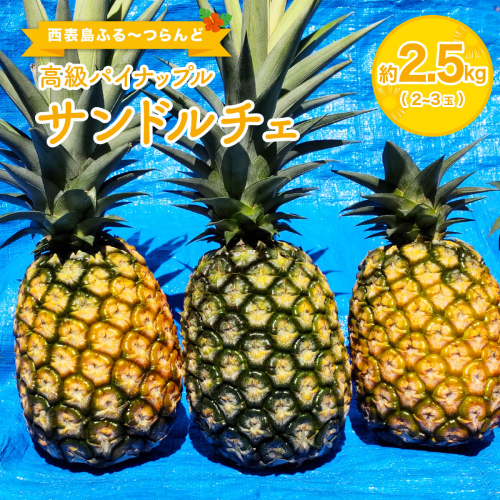 高級パイナップル 芳醇な香りと甘み サンドルチェ 約2.5kg（2～3玉） 2347876 - 沖縄県竹富町