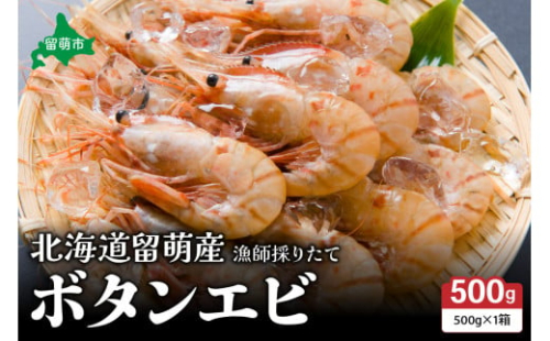 北海道留萌産　漁師採りたてボタンエビ500g 2347906 - 北海道留萌市