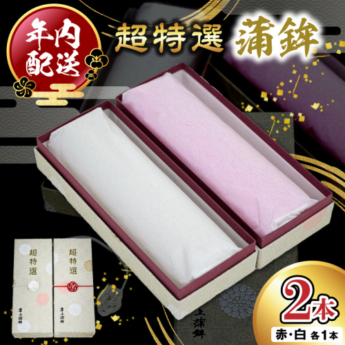 超特選蒲鉾2本 N006-YB097 2348124 - 宮崎県延岡市