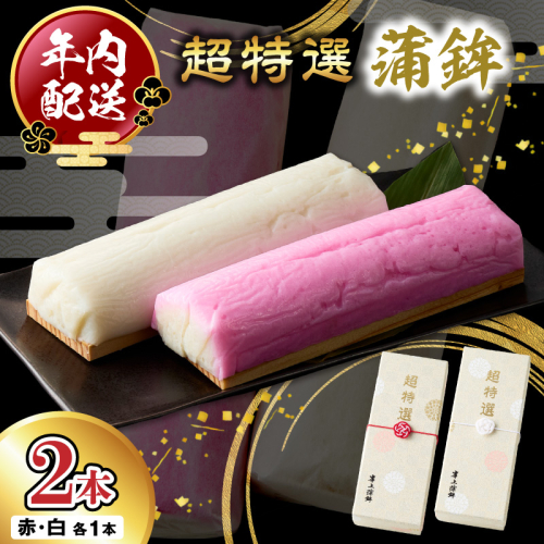 超特選蒲鉾2本 N006-YB097 2348124 - 宮崎県延岡市