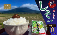 会津のピリカラしそみそ100g×10入(和食 ご飯のお供 ご飯 ごはん おにぎり 野菜のお供 おつまみ 味噌 )