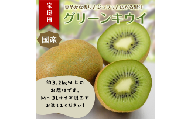 東伊豆・佐藤農園のキウイ　家庭用　約3.2kg以上（Mサイズ～3Lサイズ） 1394 ／ 佐藤農園 果物 フルーツ 農家直送 静岡県 東伊豆