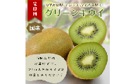 東伊豆・佐藤農園のキウイ　家庭用　5個入（2Lサイズ） 1396 ／ 佐藤農園 果物 フルーツ 農家直送 静岡県 東伊豆町