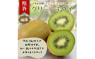 東伊豆・佐藤農園のキウイ　贈答用　約3.2kg以上（Mサイズ～3Lサイズ） 1395 ／ 佐藤農園 果物 フルーツ 農家直送 静岡県 東伊豆町