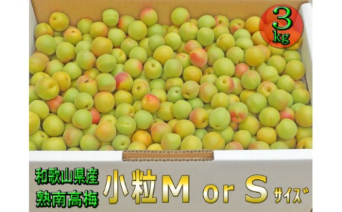 ［梅干・梅酒用］小粒（SまたはM−3Kg）熟南高梅＜2026年6月下旬～7月中旬発送予定＞フルーツ 果物 くだもの 食品 人気 おすすめ 送料無料［ART20］ 2348208 - 和歌山県上富田町