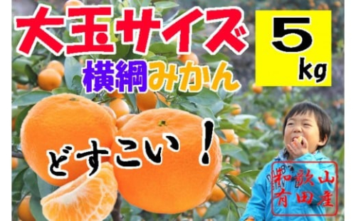 大玉有田みかん 5kg 2L・3Lサイズ 2348326 - 和歌山県有田川町