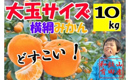 大玉有田みかん 10kg 2L・3Lサイズ 2348327 - 和歌山県有田川町