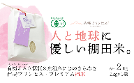 にじのきらめき 精米 2kg 令和7年産 新米 魚沼産 コシヒカリ 苗場プリンセス | 白米 精米 こしひかり 米 こめ お米 ブランド米 小分け ギフト プレゼント 有機JAS認証米 新潟県 津南町