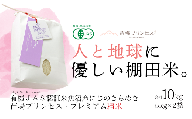 にじのきらめき 10kg ( 5kg × 2袋 ) 令和7年産 新米 魚沼産 コシヒカリ 苗場プリンセス | 白米 精米 こしひかり 米 こめ お米 有機JAS認証米 新潟県 津南町