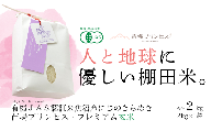 にじのきらめき 玄米 2kg 令和7年産 新米 魚沼産 コシヒカリ 苗場プリンセス | 玄米 こしひかり 米 こめ お米 ブランド米 小分け おすすめ ギフト プレゼント 有機JAS認証米 新潟県 津南町