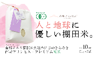 にじのきらめき 玄米 10kg ( 5kg × 2袋 ) 令和7年産 新米 魚沼産 コシヒカリ 苗場プリンセス | 玄米 こしひかり お米 おこめ コメ こめ 有機JAS認証米 新潟県 津南町