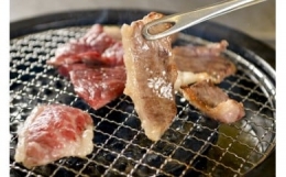 【ふるさと納税】赤崎牛 【 特選 カルビ 】約500g 焼肉用 牛肉