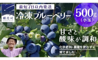 【 最短 7日以内 発送 】 冷凍 ブルーベリー 小玉 500g   【 化学肥料 農薬 使わずに栽培 】 数量限定 小粒 国産 フルーツ スムージー 果物 くだもの 農家直送 スイーツ アイス ノーザンハイブッシュ系 ミックス [AT014tu]