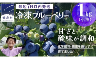 【 最短 7日以内 発送 】 冷凍 ブルーベリー 小玉 1kg  【 化学肥料 農薬 使わずに栽培 】 数量限定 小粒 国産 フルーツ スムージー 果物 くだもの 農家直送 スイーツ アイス ノーザンハイブッシュ系 ミックス [AT015tu]