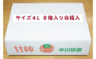 甘柿　太秋柿・ 輝太郎柿 詰め合わせ 4L×8個入（2.5kg以上） 白箱入り【2026年10月15日頃より発送】