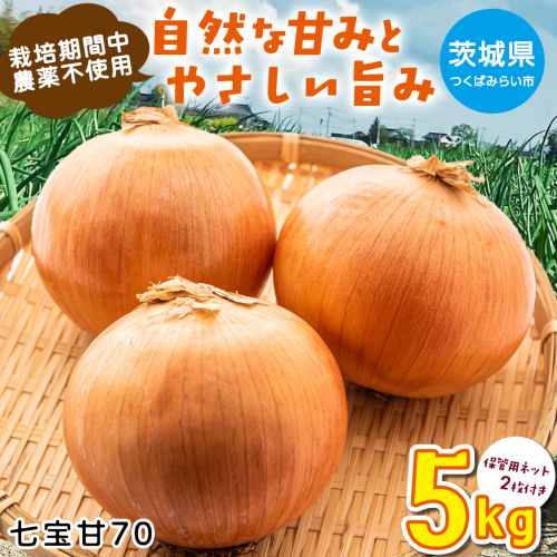 【先行予約】つくばみらい市産たまねぎ 5kg （七宝甘70）保管に便利な 貯蔵 ネット付【2026年5月より発送開始】 タマネギ 国産 茨城県産 甘い 辛くない 旨味 栽培期間中農薬不使用大玉 サラダ スープ 箱売り キロ販売 業務用 大容量 [FH01-NT] 2348663 - 茨城県つくばみらい市