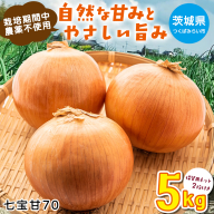 【先行予約】つくばみらい市産たまねぎ 5kg （七宝甘70）保管に便利な 貯蔵 ネット付【2026年5月より発送開始】 タマネギ 国産 茨城県産 甘い 辛くない 旨味 栽培期間中農薬不使用大玉 サラダ スープ 箱売り キロ販売 業務用 大容量 [FH01-NT]