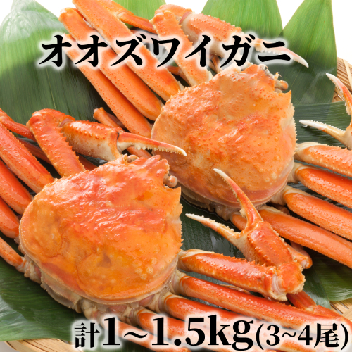 17-203 北海道産　ボイルオオズワイガニ姿　計1～1.5ｋｇ内外(3～4尾) 2348664 - 北海道紋別市