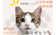 K012 飼い主のいない猫の不妊去勢手術支援～不幸な命を増やさないために～