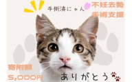K011 飼い主のいない猫の不妊去勢手術支援～不幸な命を増やさないために～