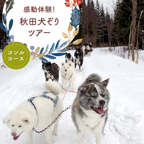 秋田犬の犬ぞりen01-00208 2349319 - 北海道遠軽町