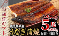 [令和7年お歳暮対応]厳選!国産 鹿児島県産 うなぎ 蒲焼 大 5尾 計約800g 新仔うなぎ使用 こだわりの地焼き! 冷凍うなぎ 秘伝のタレ 付き うな重 うな丼 きざみ鰻 うなぎのせいろ蒸し弁当 贈答 ギフト[南竹鰻加工][SD-007H]