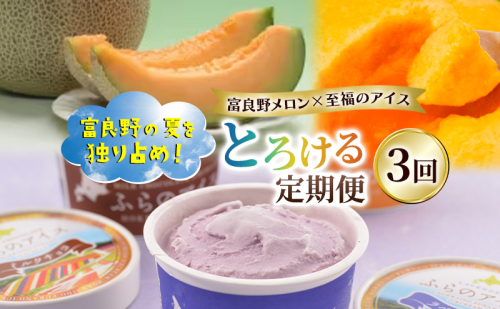 【定期便3回】富良野の夏を独り占め！富良野メロン×至福のアイス "とろける定期便" メロン 赤肉 大玉 果物 アイス アイスクリーム デザート おやつ ご褒美 冷凍 定期便 産地直送【2026年夏～発送】 2349778 - 北海道富良野市
