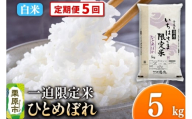 【定期便5回】【白米】令和7年産 一迫限定米 ひとめぼれ 5kg