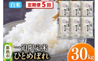 【定期便5回】【白米】令和7年産 一迫限定米 ひとめぼれ 30kg（5kg×6袋）