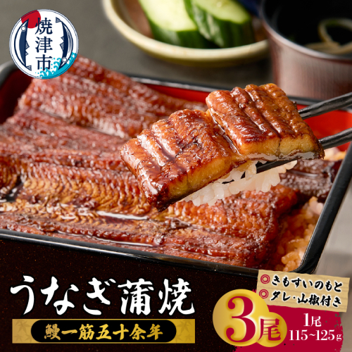 a29-012　鰻蒲焼真空パック〈３人前〉（1人前 115ｇ～125ｇ） 2349870 - 静岡県焼津市