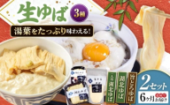 【全6回定期便】ゆば 滋賀県産 生ゆば詰合せ2セット ※北海道・沖縄・離島への配送不可　滋賀県長浜市/なかや [AQBK031] ゆば 滋賀 湯葉 生湯葉 生ゆば セット 食べ比べ 国産 大豆 豆乳 とろとろ イソフラボン 高たんぱく 冷蔵 鍋 豆乳鍋 おかず 惣菜 和風総菜 和食 日本食 クリーミー 濃厚 丼 豆 ヘルシー 大豆製品 風味豊か 手作り お取り寄せ ギフトセット 人気 おすすめ