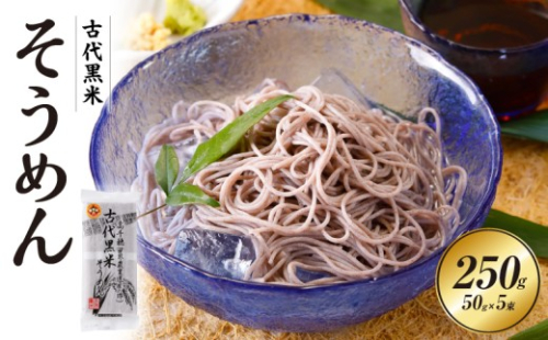 古代黒米そうめん | 麺類 そうめん 素麺 麺 特産品 古代米 黒米 黒米そうめん お取り寄せ ご当地 グルメ 宮崎県 高千穂町 |_Tk005-108 2349988 - 宮崎県高千穂町