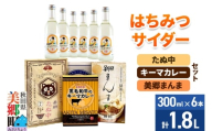 はちみつサイダー6本とたぬ中・キーマカレー・美郷まんまのセット 炭酸飲料 カレー キーマカレー レトルト 中華麺 まぜごはん