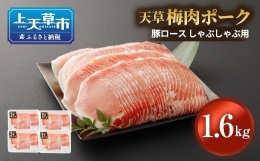【ふるさと納税】熊本県産 天草梅肉ポーク 豚ロース しゃぶしゃぶ用 1.6kg 冷凍