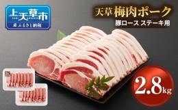 【ふるさと納税】熊本県産 天草梅肉ポーク 豚ロース ステーキ用 2.8kg 冷凍