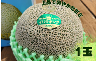 上品で爽やかな甘さ！イバラキングメロン(1個入）