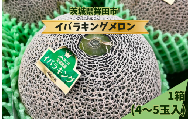上品で爽やかな甘さ！イバラキングメロン(4～5個入）