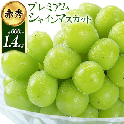 ぶどう 【2026年発送先行予約】プレミアム シャインマスカット 船穂 赤秀品 晴王 選べる内容量《2026年9月中旬-10月中旬頃出荷》晴レ乃青果　(岡山中央卸売市場店(富士紙工 有限会社)) マスカット 送料無料 岡山県 浅口市 フルーツ 果物 贈り物 ギフト 国産 【配送不可地域あり】 2350497 - 岡山県浅口市