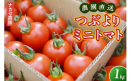 農園直送 つぶより ミニトマト 1kg入り│トマト プチトマト 甘い 野菜 産地直送 愛知県 東浦町