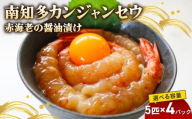 容量選べる 赤海老 南知多カンジャンセウ 5匹×4袋 海老の醤油漬け 海老 えび エビ 新鮮 グルメ お米 に合う コメ に合う こめ に合う ご飯 のお供 おすすめ 韓国料理 韓国グルメ おいしいエビ  晩酌 肴 おかず おもてなし料理 そうめん 雑炊 濃厚 海の幸 夕食 万能 まるごと ふるさと納税エビ 自家製ダレ  愛知県 南知多